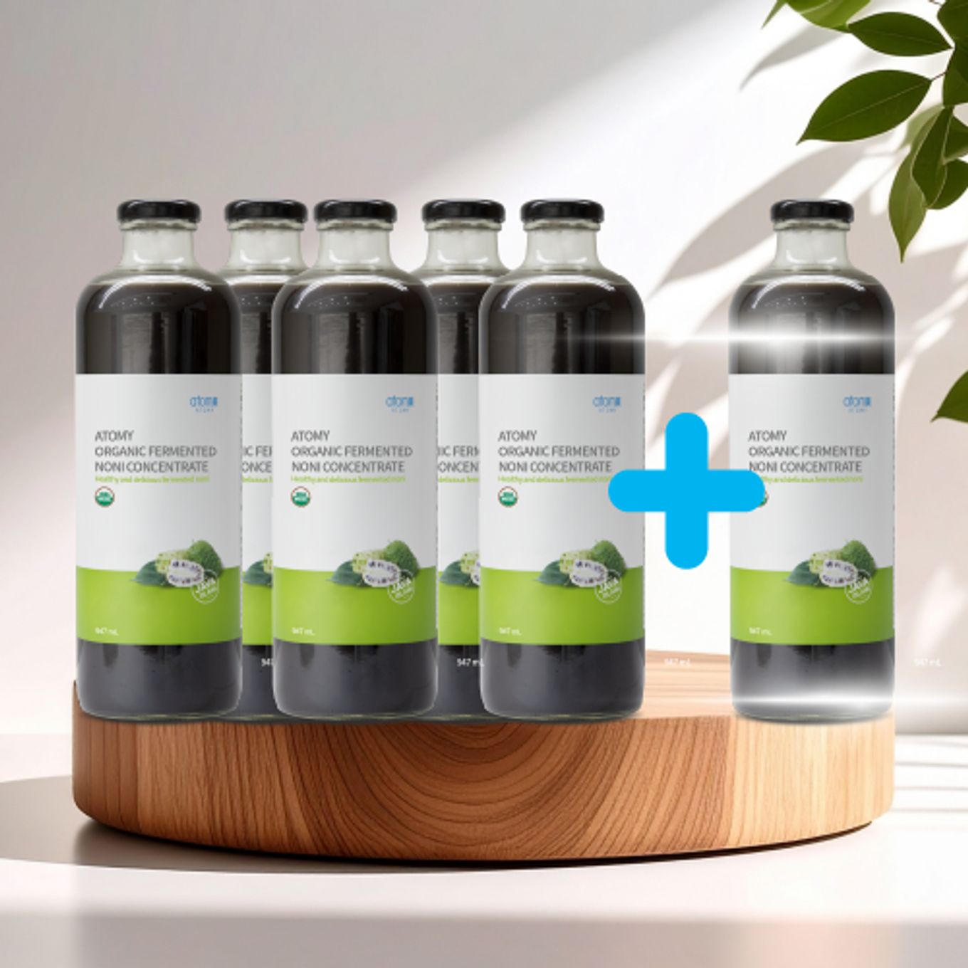 Fermented Noni Concentrate 5+1