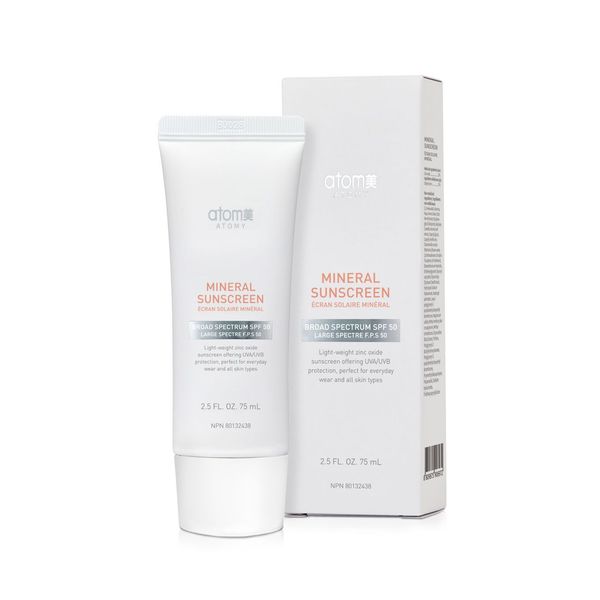 Festive Season Holiday Promotion 2