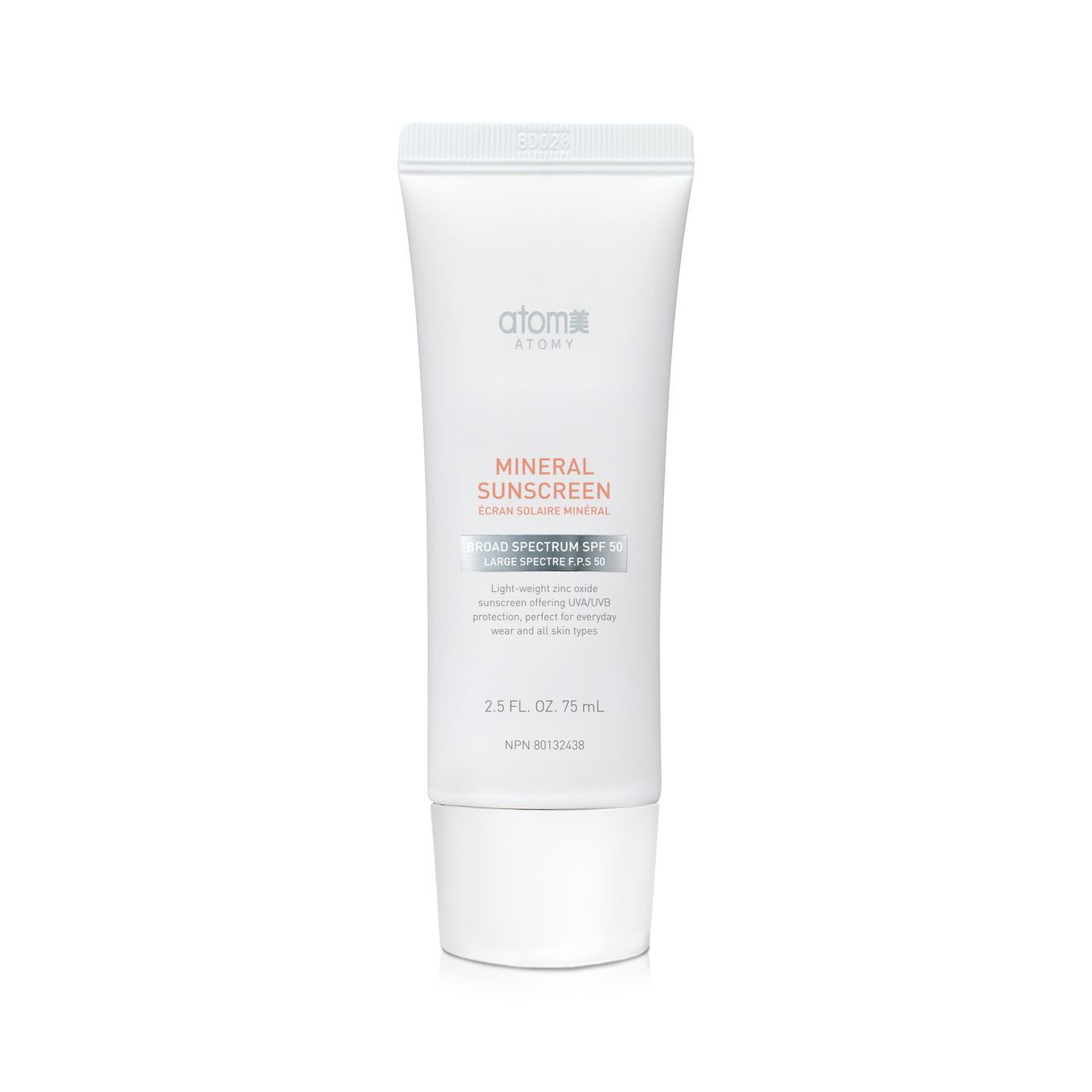 Festive Season Holiday Promotion 2