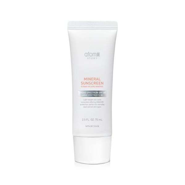 Festive Season Holiday Promotion 2