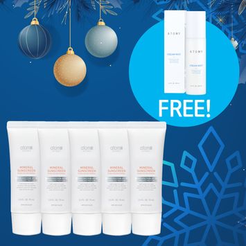 Festive Season Holiday Promotion 6