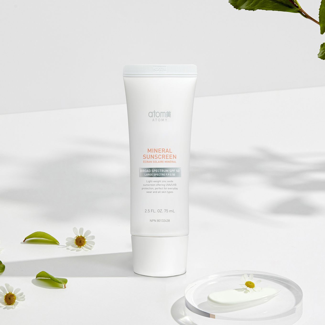 Festive Season Holiday Promotion 6