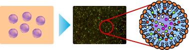 Skin Moisturising System image