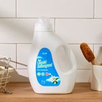 Liquid Detergent x1EA