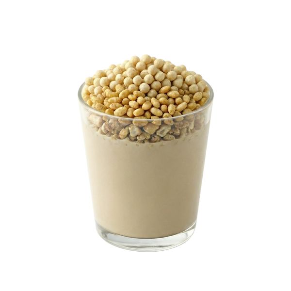 애터미 슬림바디 뉴핏 그레인 (대용량) (1,200g, 벌크팩)