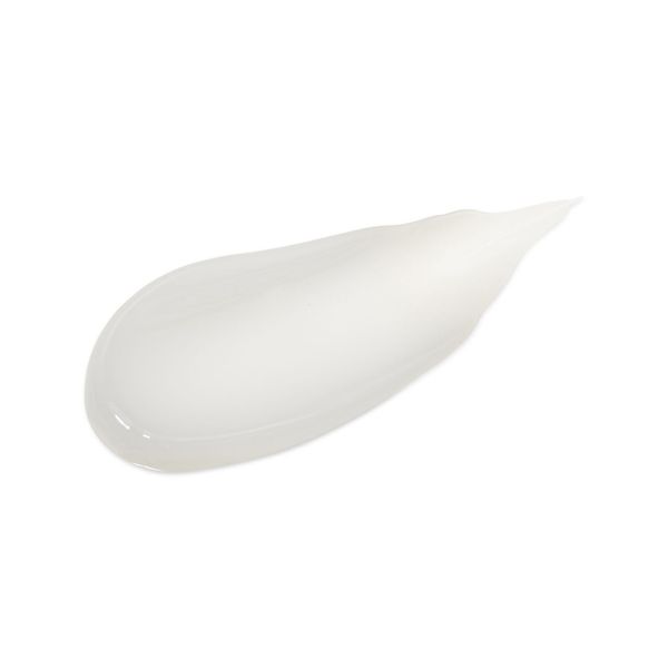 Atomy Absolute Snow Day Cream