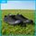 Pallas Jazz Shoes Lo Cut Shoe Lace Black <br> 407-196 / 407-1196