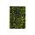 Olive Oil Grilled Laver *1 box (36 packets)