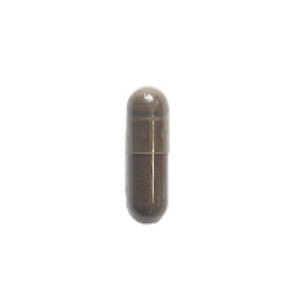Shilajit