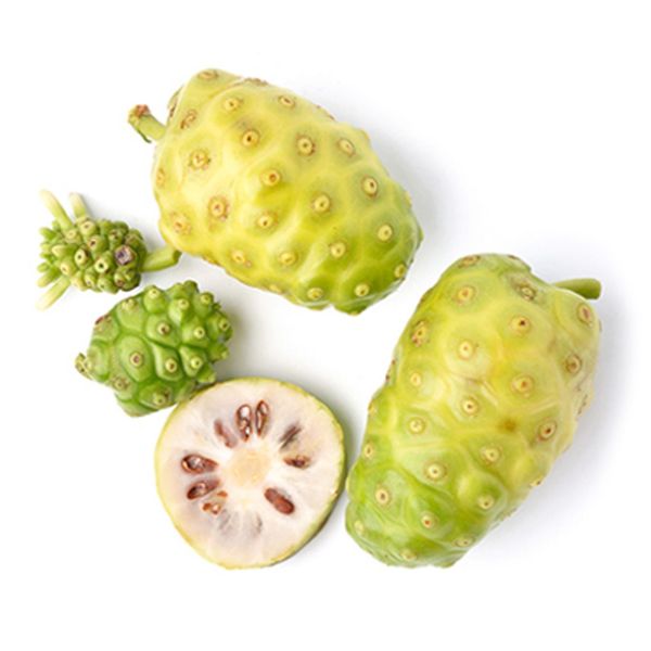 【 02月26日預購 】諾麗 5+1 新春活動