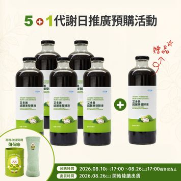 諾麗5+1存錢筒襪子組(薄荷綠)