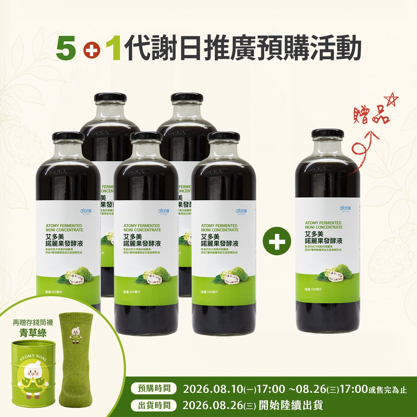 諾麗5+1存錢筒襪子組(青草綠)