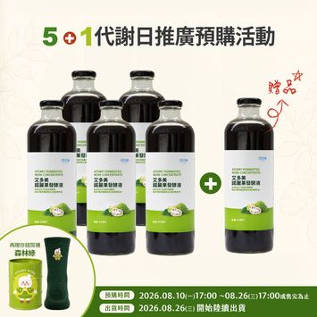 諾麗5+1存錢筒襪子組(森林綠)