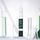 Root Vital Scalp Ampoule