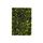Olive Oil Grilled Laver (36 Packs)